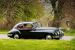 Bristol 401 