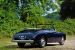 Bristol 401 Farina