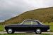 Bristol 409