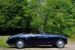 Bristol 401 Farina