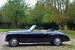 Bristol 401 Farina