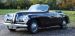 Bristol 401 Farina
